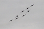 141 Patrouille de France